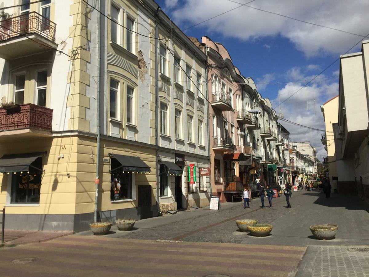 Затишна Квартира В Центрі Міста Ternopil Esterno foto